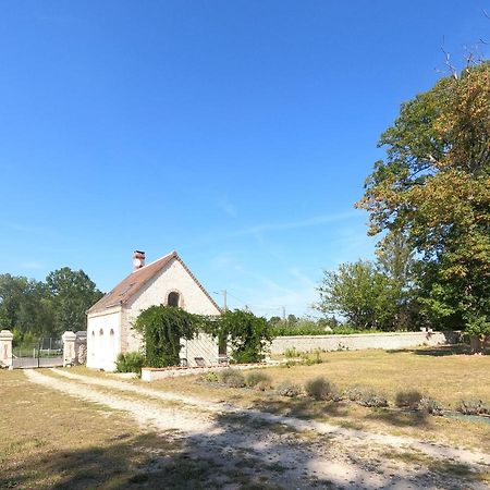 Chateau Des Nouies Villa Selles-sur-Cher Dış mekan fotoğraf