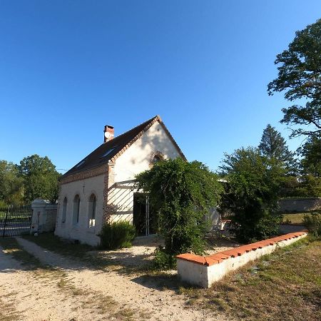 Chateau Des Nouies Villa Selles-sur-Cher Dış mekan fotoğraf