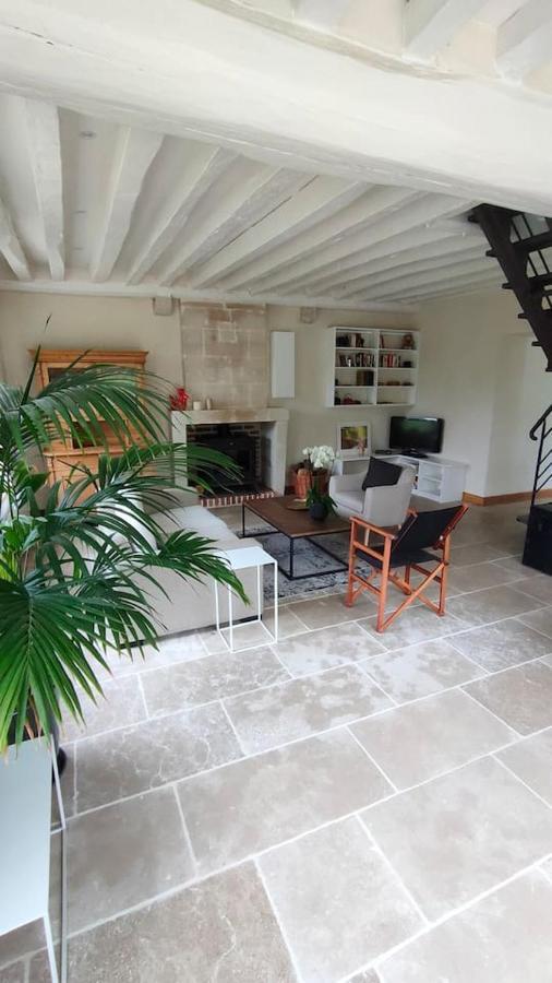 Chateau Des Nouies Villa Selles-sur-Cher Dış mekan fotoğraf