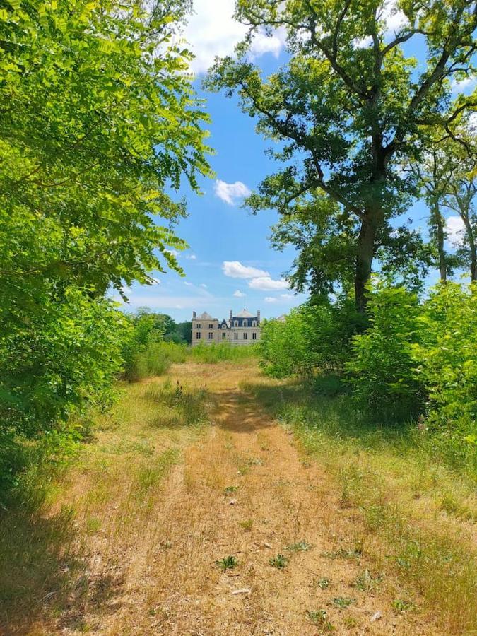 Chateau Des Nouies Villa Selles-sur-Cher Dış mekan fotoğraf