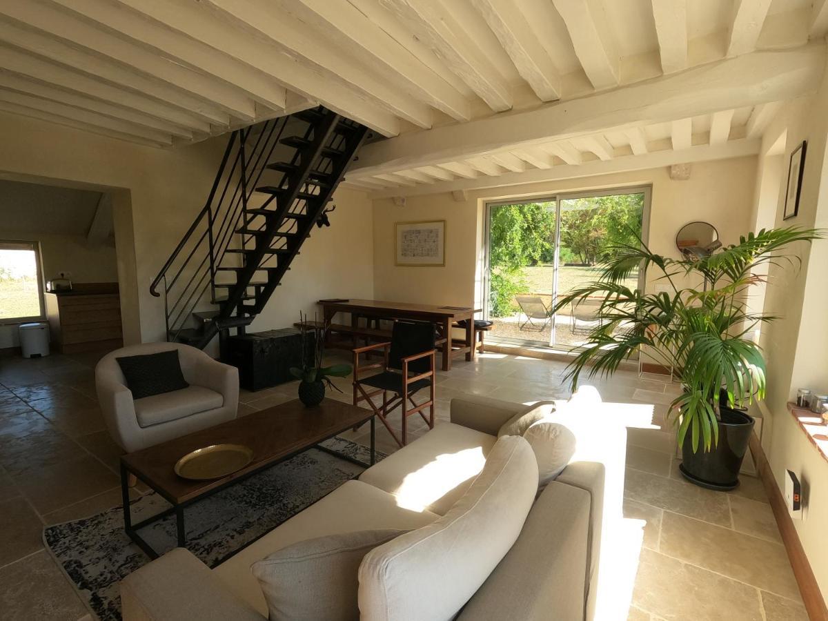 Chateau Des Nouies Villa Selles-sur-Cher Dış mekan fotoğraf