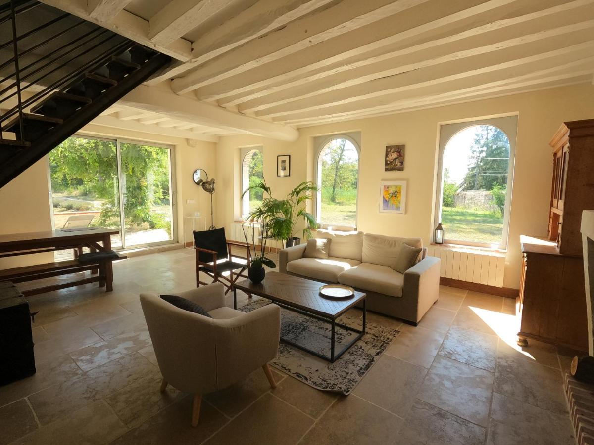 Chateau Des Nouies Villa Selles-sur-Cher Dış mekan fotoğraf