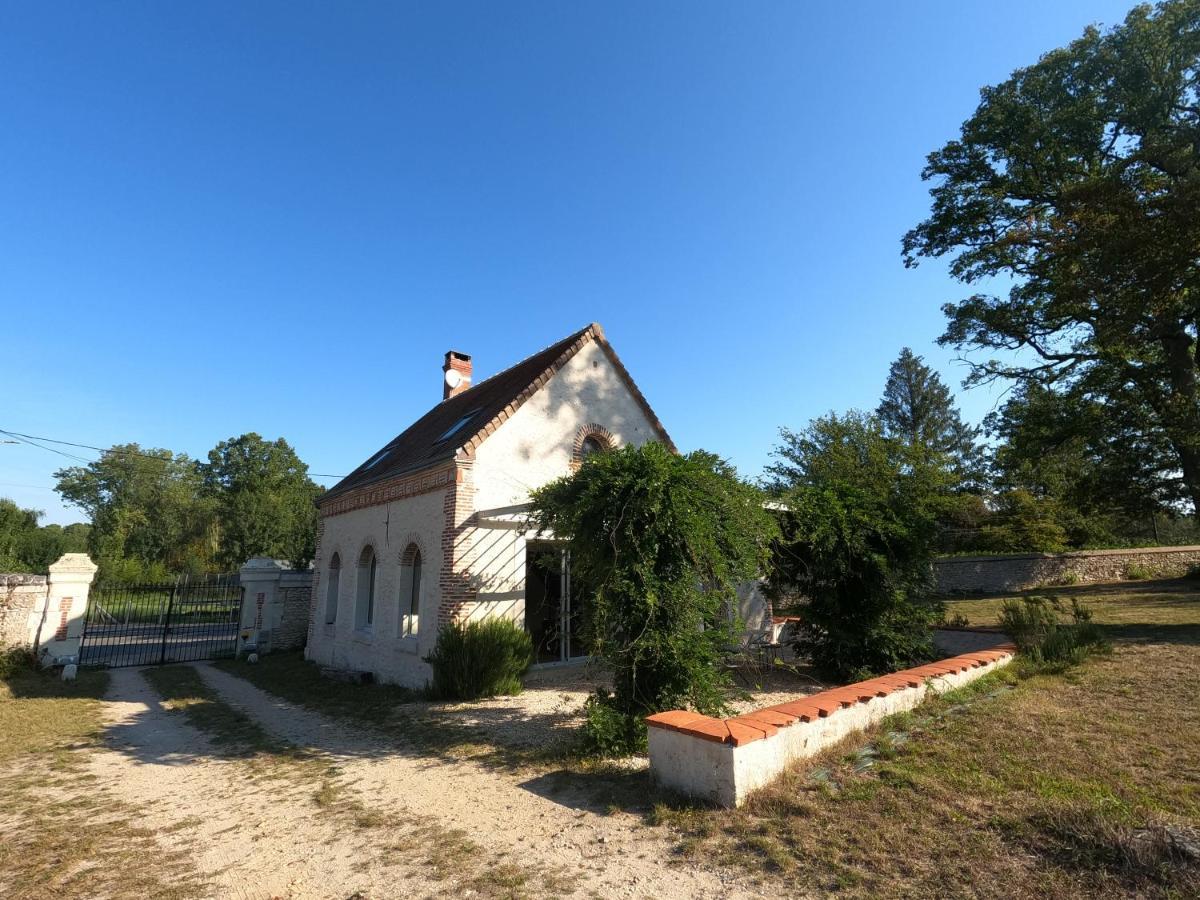 Chateau Des Nouies Villa Selles-sur-Cher Dış mekan fotoğraf